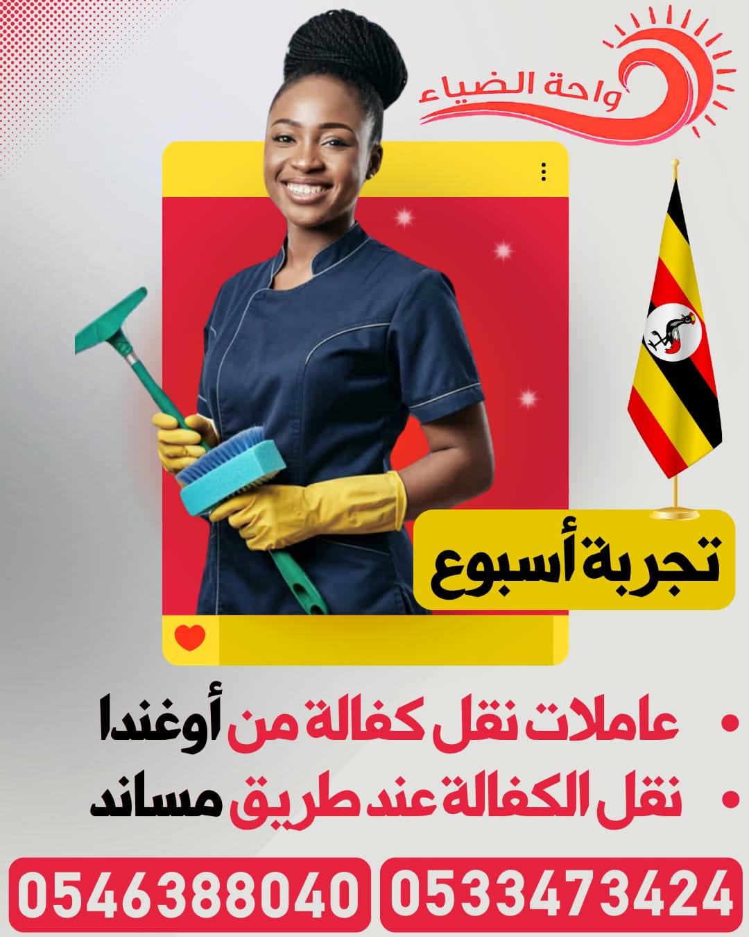 عاملات منزلية للتنازل من جميع الجنسيات